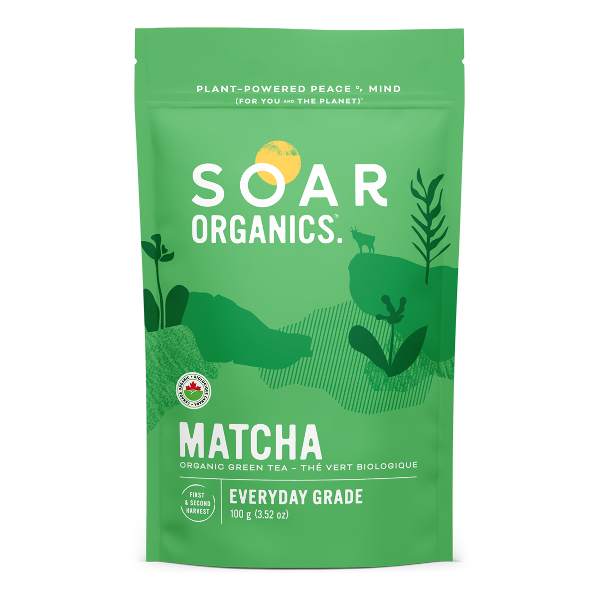 Everyday Matcha