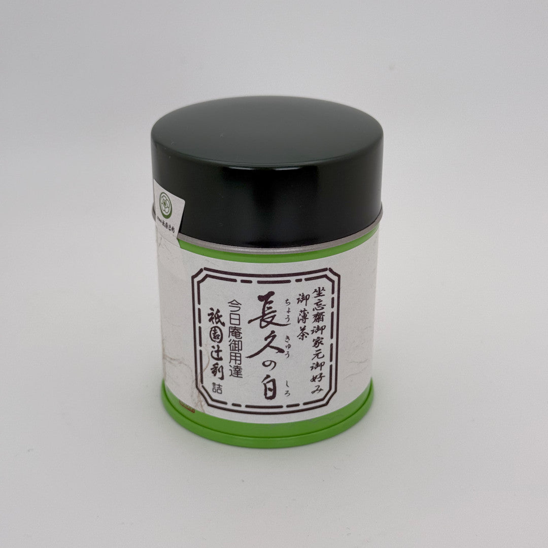 Chokyu no Shiro