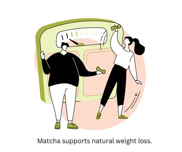 Are You Struggling to Lose Weight Safely? Daily Matcha Can Help Boost Your Metabolism