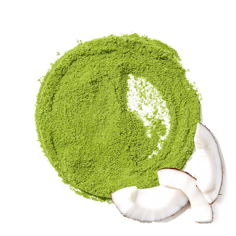 Organic Coconut Matcha by DAVIDsTEA