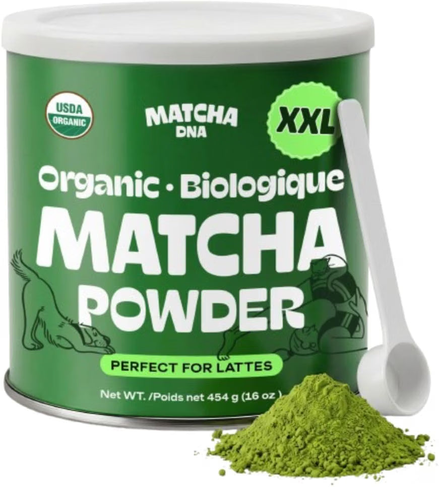 MATCHA DNA Thé Vert Matcha en Poudre Certifié Biologique (454 g/16 oz Boîte de conserve) by Matchanova
